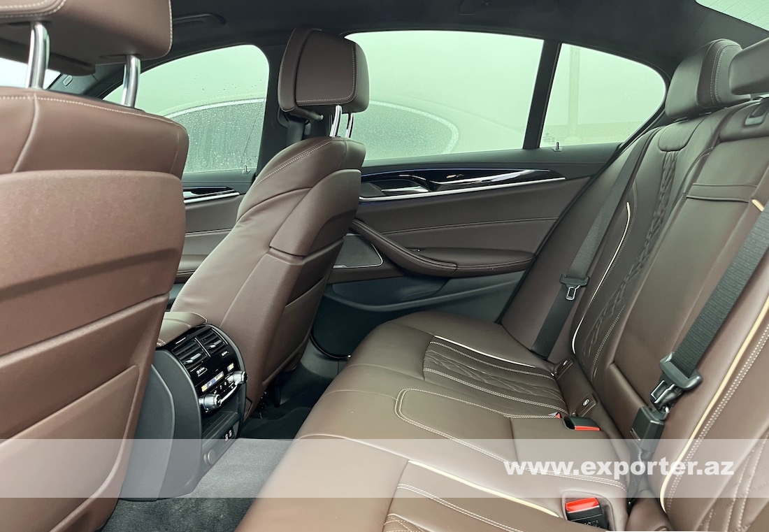 BMW 530e M Sport (photo: 11)