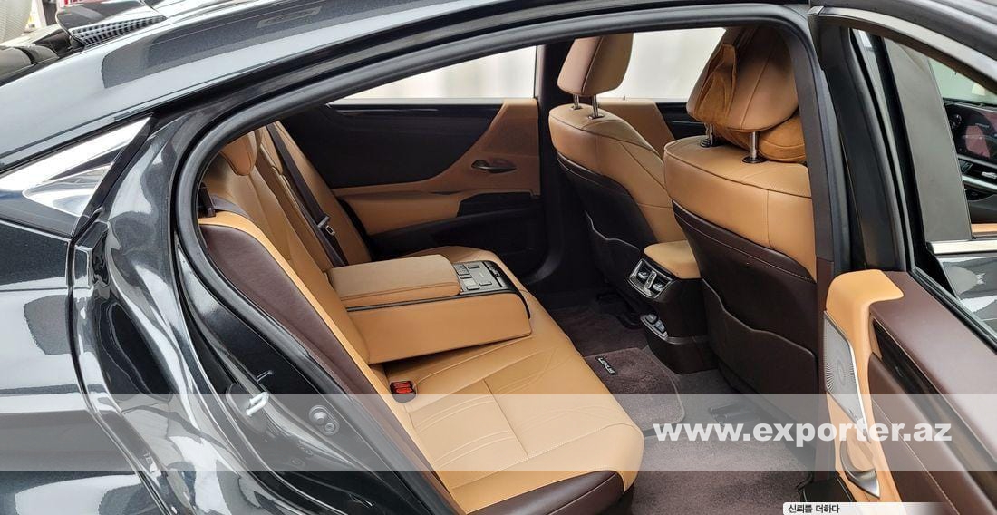 Lexus ES300h Luxury Plus (photo: 14)