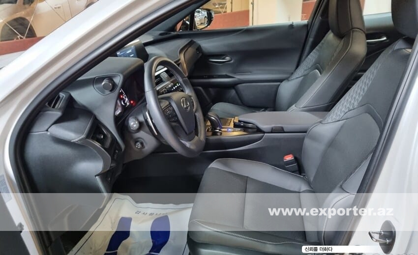 Lexus UX300 e (photo: 10)