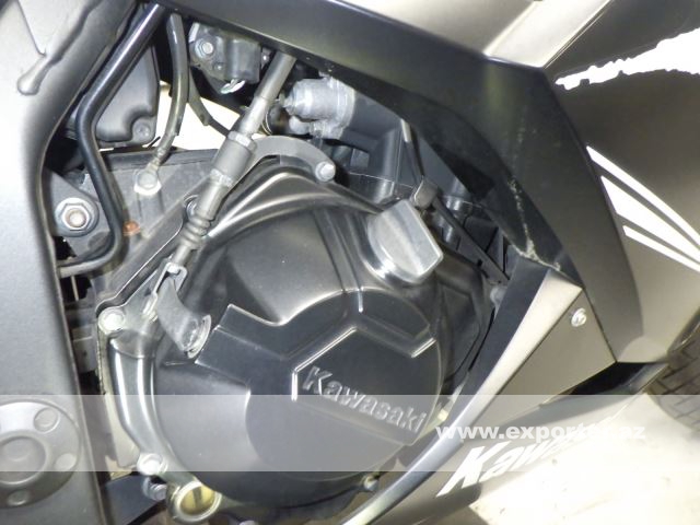 Kawasaki Ninja250 (photo: 18)