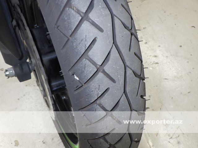 Kawasaki Ninja250 (photo: 15)