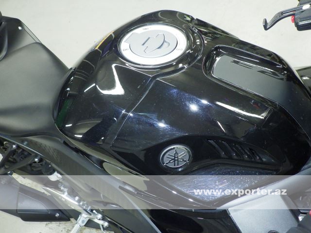 Yamaha YZF-R3 (photo: 9)