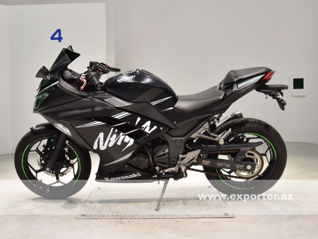 Kawasaki Ninja250 (photo: 1)