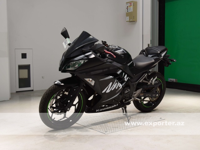 Kawasaki Ninja250 (photo: 5)