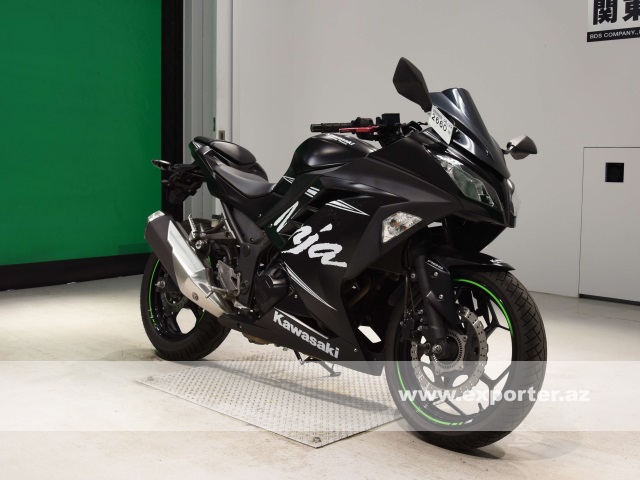 Kawasaki Ninja250 (photo: 4)