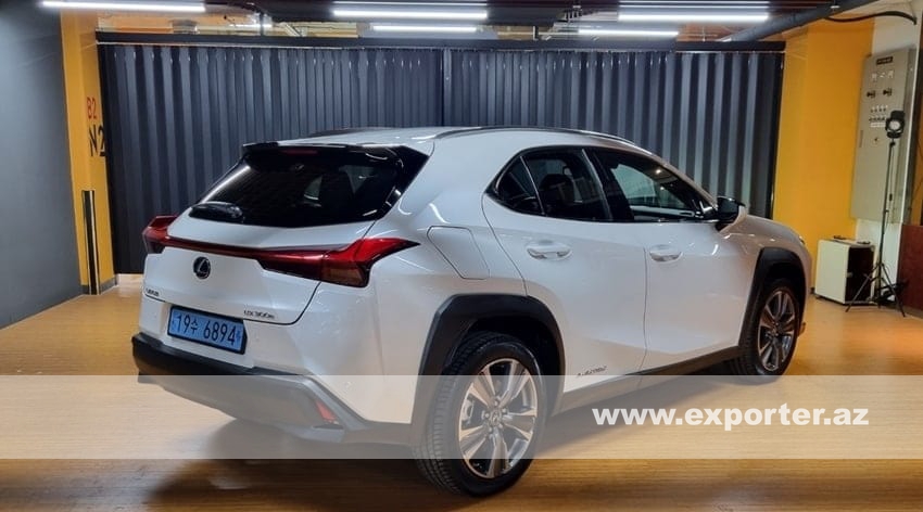 Lexus UX300 e (photo: 3)