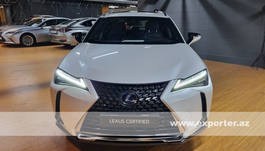 Lexus UX300 e (photo: 1)