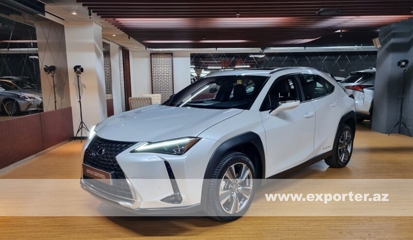 Lexus UX300 e